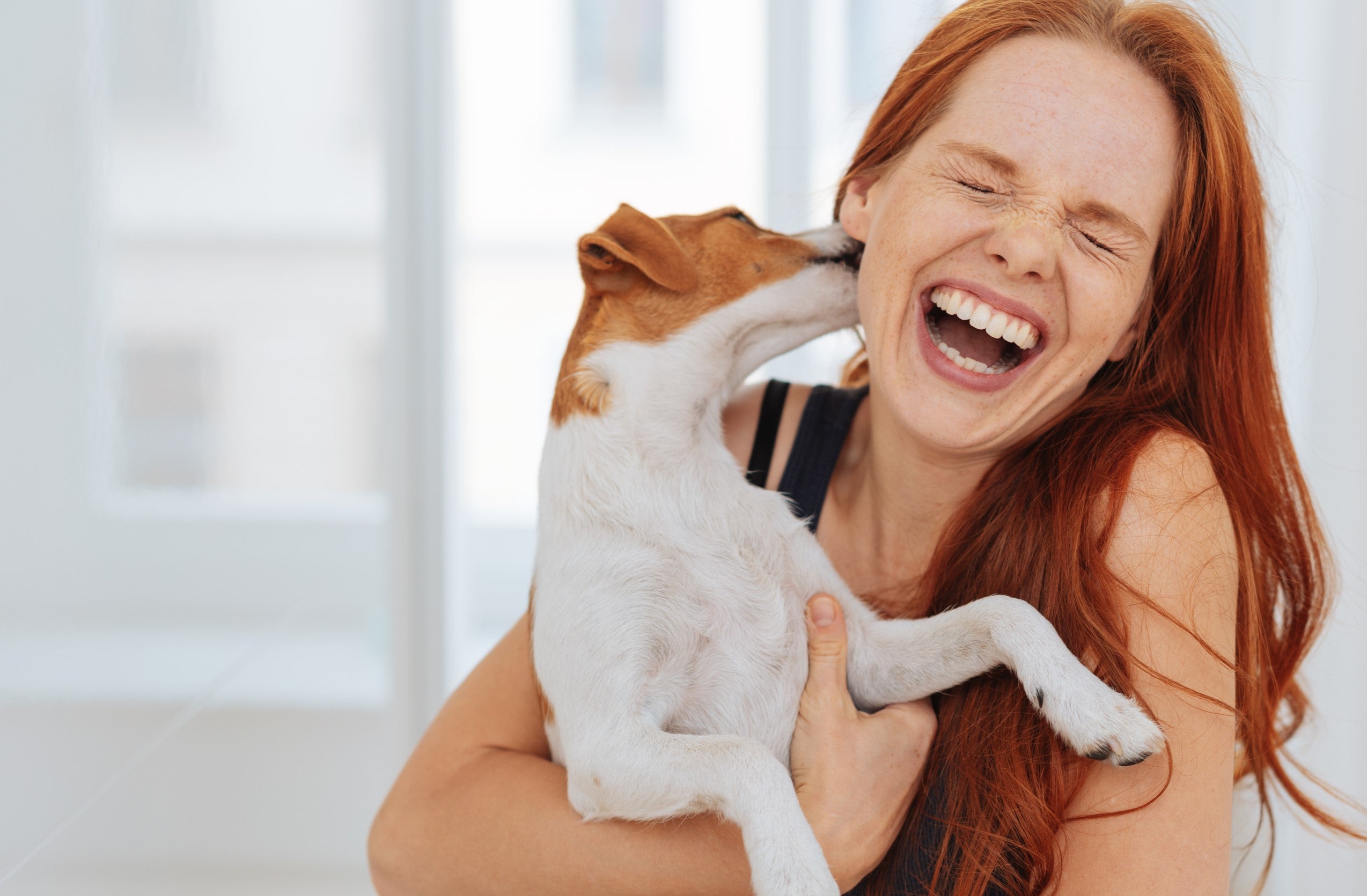 Can you use on sale human toothpaste on dogs