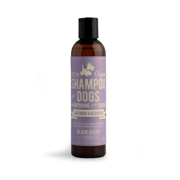 Lavender & Geranium Dog Shampoo